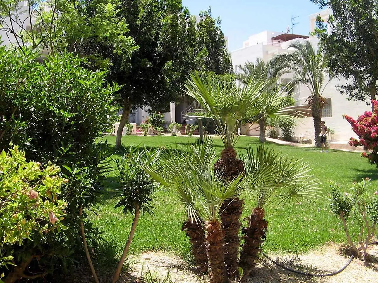 Apartamento Venavera Playa Mimosas 11 La Aldea De Puerto Rey Piscina Y Jardines Muy Tranquilo Wifi Spain